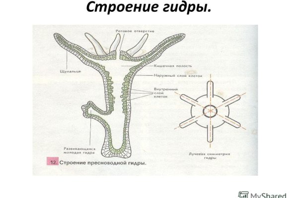 Нарко сайт кракен