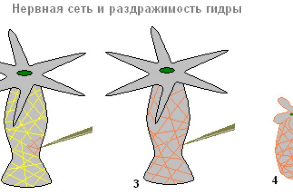 Кракен это сайт