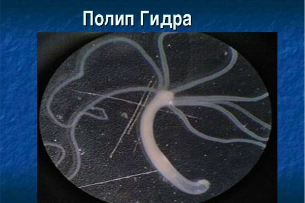 Как пополнить кошелек на кракене даркнет