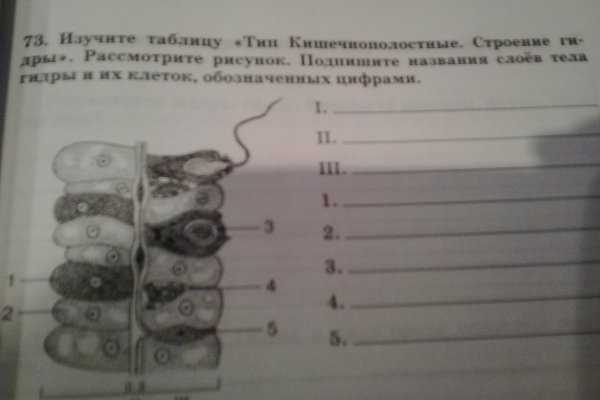 Кракен даркнет ссылка