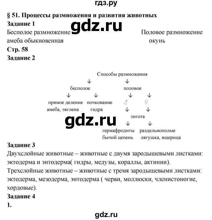 Кракен зеркало 2025